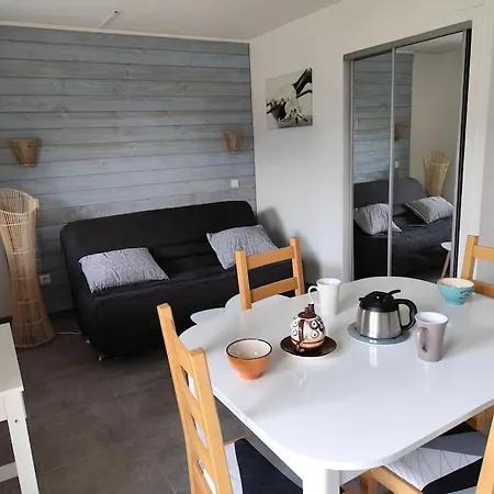 Mailh- Massibe T2 5 Pers Climatisation Piscine Couverte Linge De Maison Inclus Parking Jardin Clos Bielle Exterior photo